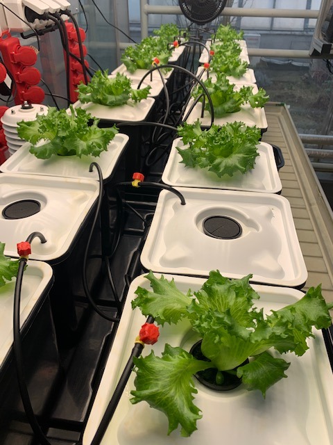 ProEMgen